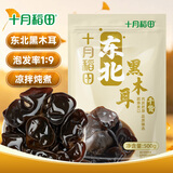十月稻田 东北黑木耳 500g 干木耳 黑龙江东宁特产 肉厚无根 火锅煲汤炒菜