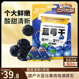 三只松鼠每日蓝莓干500g 蜜饯果干酸甜休闲零食下午茶孕妇儿童健康零食