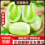 【瘦身减脂必备】寿光玉女水果黄瓜新鲜蔬菜减肥早餐超市品质生吃 山东玉女黄瓜新鲜脆嫩  4斤 （净重 3.8斤）