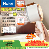 海尔（Haier）手持挂烫机30g爆炸蒸汽160ml水箱家用便携大蒸汽电熨斗小型迷你差旅干湿平挂两用熨衣神器HSS-B08W