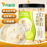 十月稻田白玉木耳 90g 东北特产 菌菇干货 易泡发 火锅煲汤食材