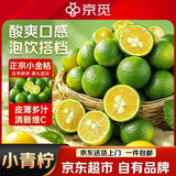 京觅小青柠檬小青金桔 净重1斤单果7g+奶茶店泡茶用 水果源头直发包邮