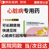 财咪宠物心脏病猫咪询医狗狗心脏肥大呼吸困难心衰马来酸依那普利