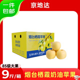京地达烟台栖霞苹果奶油苹果  净重9斤85级大果烟台苹果水果源头直发
