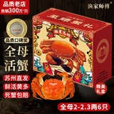 【活蟹】漁家师傅大闸蟹全母2-2.3两6只去绳足重鲜活螃蟹生鲜现货海鲜礼盒源头直发