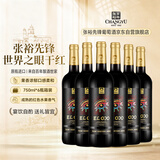 张裕（CHANGYU）世界之眼干红葡萄酒整箱 乌迪尔雷格纳法定产区原瓶进口 中秋红酒