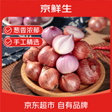 京鲜生东北黑土小毛葱中果净重2斤 单果2cm+葱香十足 辣中回甜 源头直发