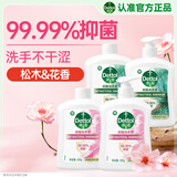 滴露（Dettol）滋润洗手液500g+500补充装+松木500g+500补充装