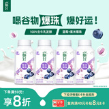 伊利畅轻低温酸奶 生牛乳 蓝莓紫米爆珠250g*4风味发酵乳 酸牛奶