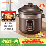 九阳（Joyoung）电炖锅电炖盅5L大容量紫砂预约电砂锅 多功能锅 智能定时精炖煮粥煲汤锅DG50Z-GD510