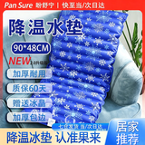 盼舒宁【万评口碑优选】水垫注水垫冰垫防病人水袋医床垫褥疮床上护理用 90*48cm【送冰晶 * 双人可坐】 加厚防爆 | 注水款 | 深蓝色雪花图案