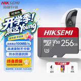 海康威视（HIKVISION）行车记录仪 监控内存卡TF卡Micro SD海康 萤石 监控存储卡摄像头通用闪存卡高速内存卡100MB/s 256GB读100MB/s监控【升级款】