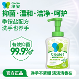 净安泡沫洗手液家用户外儿童宝宝便携抑菌99.9% 【艾叶香】泡沫洗手液1瓶