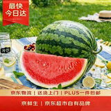 京鲜生 麒麟无籽西瓜 1粒装 净重6-8斤 生鲜水果