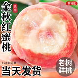 京地达桃子金秋红蜜江苏新鲜中秋水果净重8斤单果200g+应季水果源头直发