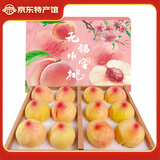 正宗无锡水蜜桃 湖景桃 晚湖景 时令水果桃子节日 中秋节水果礼盒 一级果4-5两12个礼盒净重4.8斤多