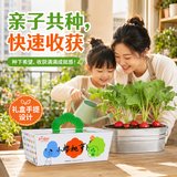 IAM City Farmer盆栽小萝卜DIY种植趣味萝卜种子家庭种菜幼儿园儿童好种易活10100