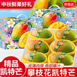 京地达四川攀枝花凯特芒果礼盒 净重4.8斤单果700g+新鲜芒果源头直发