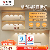 公牛（BULL）感应猫眼橱柜灯磁吸充电山丘光效展柜玄关氛围小夜灯 银26cm三色