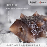 益参居-雷大参 大连广鹿岛深海辽刺参 即食海参 3斤  约34只  40-50克/只左右