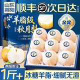 山姆大叔 山东莱阳新鲜秋月梨【顺丰-多地次日达】雪梨子应季中秋水果礼盒 【脆甜-85%选】精品果｜300-400g单果 5斤装【超值推荐-80%选择】净4.5