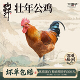 三德子好甄选散养壮年大公鸡 净重5.5-6.5斤 300天左右净膛鸡肉生鲜