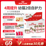 皇家 幼猫湿粮罐头KLC 通用粮 4-12月 慕斯肉泥85g*6【礼盒装】