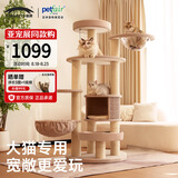 兽牌森林猫爬架大型猫树猫窝一体豪华剑麻猫架太空舱缅因大猫四季适用 森林【经典款】