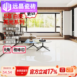 远晶800x800天鹅绒瓷砖58度超白胚客厅地砖卫生间厨房墙砖奶油风广东 58°超白胚-亮光-纯白 800x800