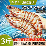 森农乐舟山竹节虾鲜活斑节虾特大九节虾冷冻野生大虾基围虾黑虎虾海虾类 1500g(净重)  13-16cm【14-18头/斤】