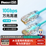 泛达 泛达超六类细网线CAT6A类跳线家用电脑宽带POE监控万兆高速成品线 冰湖蓝 0.5米