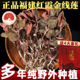 雄在福建南靖金线莲 整株中草药材原料干货 金钱莲端午节盒仿野生官旗 【整珠金线莲】【送4豪礼】 500g*1盒 福建南靖核心产区 多年深山野外种植