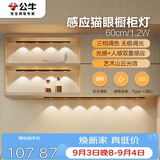 公牛（BULL）感应猫眼橱柜灯磁吸充电山丘光效展柜玄关氛围小夜灯 黑60cm三色