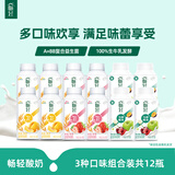 伊利畅轻燕麦酸奶250g*12三种口味风味发酵乳 源头直发包邮