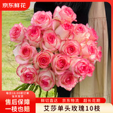 京东鲜花【AB级】艾莎粉玫瑰10枝（60cm+）鲜花束自营源头直发