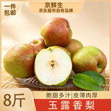 京鲜生河北翡翠玉露香梨 净重8斤 单果200g+ 生鲜水果 源头直发