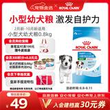 皇家狗粮 幼犬狗粮 幼犬奶糕宠物小型犬MIJ31全价犬粮2-10月800g