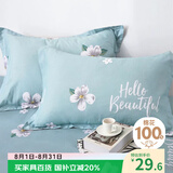 艾薇枕套纯棉枕头套一对全棉枕芯套枕套 缤纷花朵 48*74cm