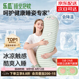 乐瓜睡觉抱枕夏季女生夹腿凉感抱枕长条靠枕床上靠垫等身靠背垫可拆洗 加大号凉皮款（锦氨） 萌萌恐龙