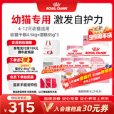 皇家猫粮 幼猫猫粮 干湿搭配 K36 4.5kg+啫喱肉冻KJP 85G*3