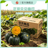 自然搭档 正宗陕西贝贝南瓜 粉面香甜小南瓜 新鲜蔬菜香甜软糯产地直发 净重 3斤 （2-5个）