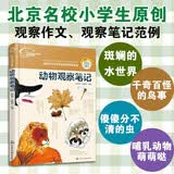 我的大自然观察笔记：动物观察笔记  6-12岁 思维观察训练科普 全国名校小学生原创，观察方法+绘画方法 小学课外阅读百科观察 作文日记作业