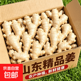 【精品】山东大黄姜水洗不带土净姜山东大姜生姜干姜新鲜蔬菜佐料 净重3斤
