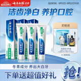 云南白药经典系列牙膏套装 护龈祛渍洁齿 亮白清新口气冬青香型165g*3