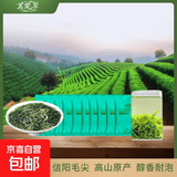 【核心产区】2025新茶雨前耐泡信阳毛尖口粮茶高档小盒装茶叶 茶袋10包*5克雨前芽叶