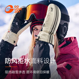 GOLOVEJOY高乐捷单板滑雪手套新雪丽棉内置护腕闷子防水保暖登山防丢绳雪XL
