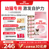 皇家猫粮 离乳期幼猫粮干湿套装BK34 2KG+幼猫湿粮罐头BMC 88g*6