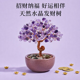 盛世泰堡发财树礼物送老师开业招财办公桌面工位装饰81粒陶瓷盆礼物