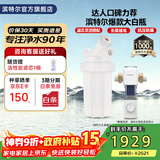 滨特尔（pentair）大白瓶前置过滤器 全屋家用自来水过滤器 前置净水器大蓝瓶 中央净水机大流量大胖瓶高精度 10寸大白瓶+前置L250
