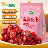 十月稻田 新疆灰枣 500g 若羌大枣 红枣 桂圆银耳煲汤煮粥泡水 即食零食